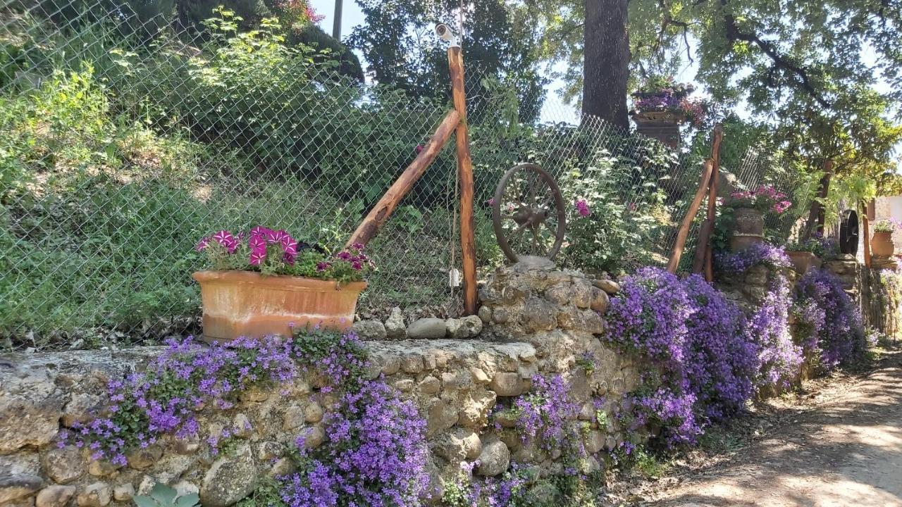 La Limonaia Country House มอนเตริจโจนี ภายนอก รูปภาพ